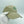 Green Head Cap